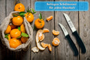 SMI 2er Set Schälmesser Solingen - Kleine kneipchen messer, Gemüsemesser & Obstmesser, gebogen und gerade, Made in Germany, Edelstahl Klingen, Premium Küchenmesser