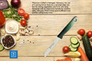Schälmesser SMI 12-tlg Solingen Schälmesser Sparschäler Obstmesser Gemüsemesser Küchenmesser Wellenschliff