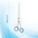 SMI Hundehaarschere 8,5 zoll hunde schere hundeschere fellschere hundepflege-schere hundepflege schere für hunde und katze katzenschere haustierschere edelstahl